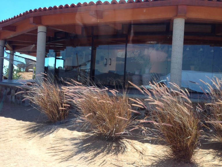 Edificio frente a la playa con pilares de concreto y grandes ventanas, rodeado de dunas de arena y pasto marino
